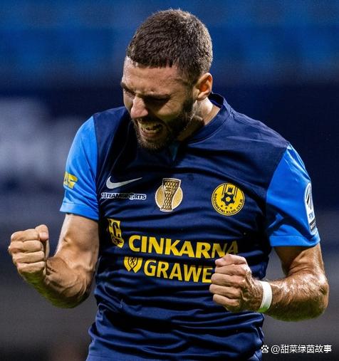 斯洛文尼亚新星签约意甲球队,勇闯欧罗巴赛场的简单介绍 斯洛文尼亚新星签约意甲球队,勇闯欧罗巴赛场的简单介绍