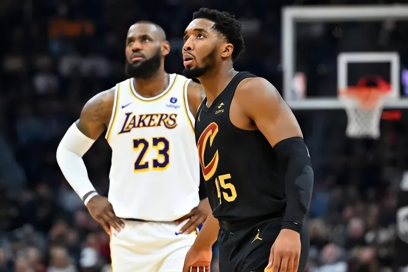 关于青岛队鏖战湖人,米切尔统治全场的信息 关于青岛队鏖战湖人,米切尔统治全场的信息